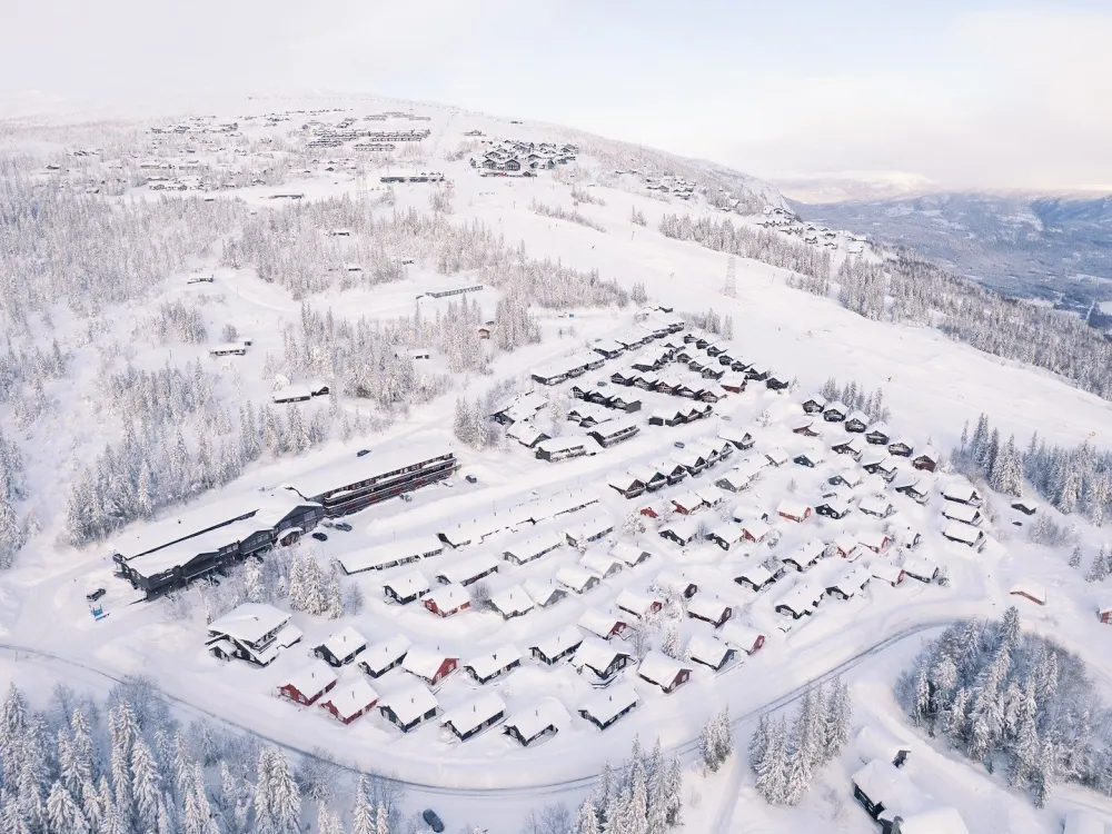 Mountain Lodge 
