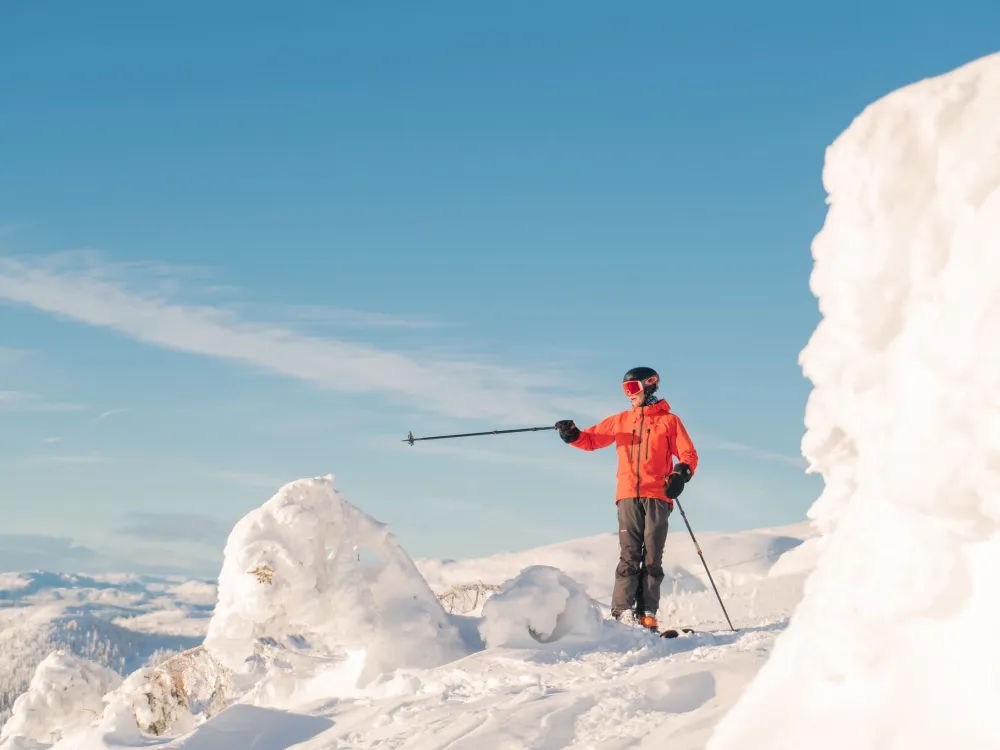 Week days with ski pass